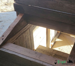 pallets coop chicken build nesting attached actual structure started frame