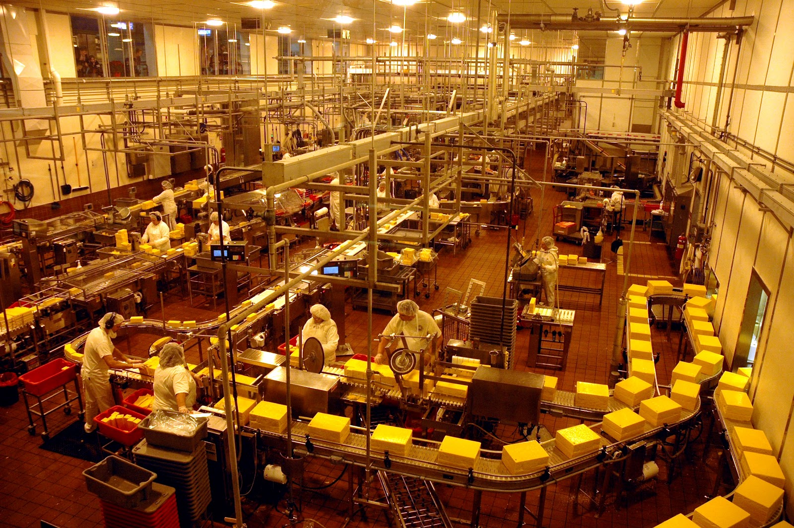 DUDE FOR FOOD Side Views Awesome Sights and Flavors at the Tillamook