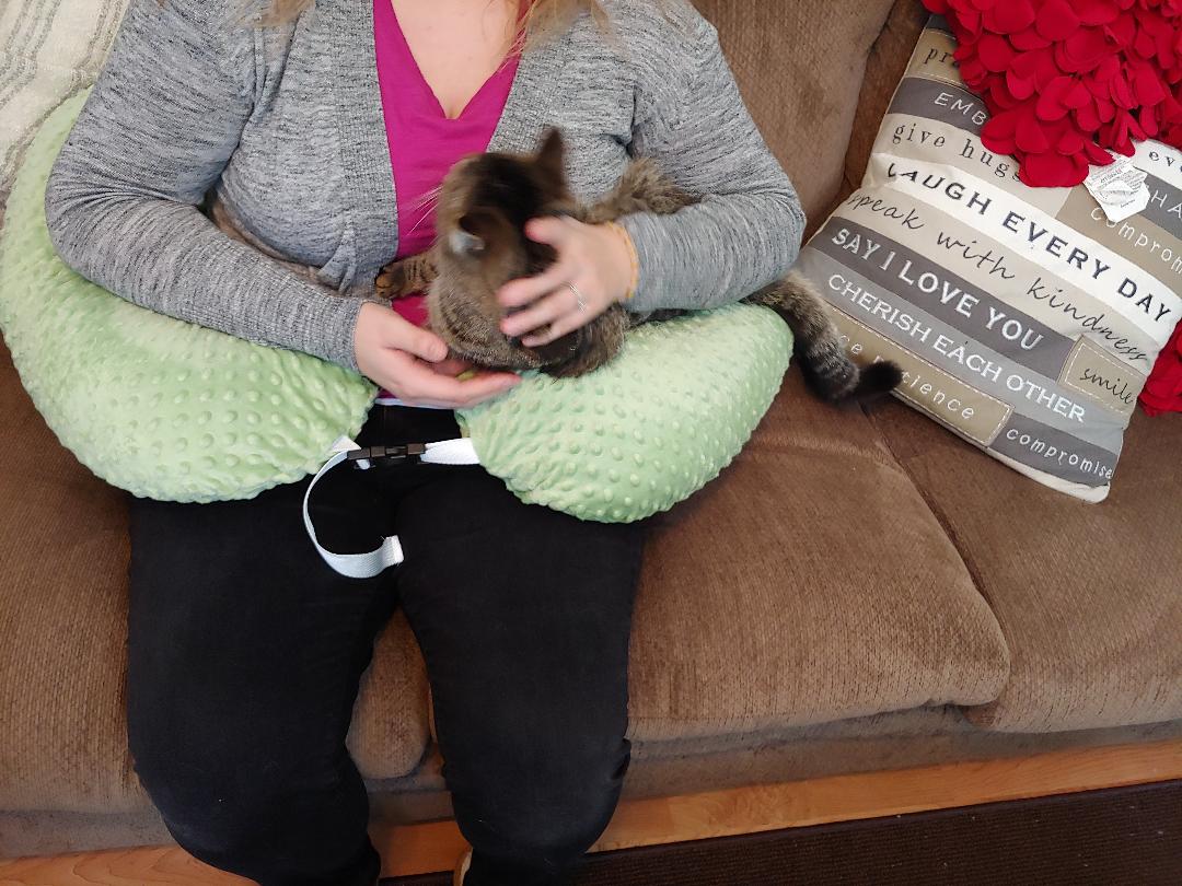 The Twin Z Pillow Review