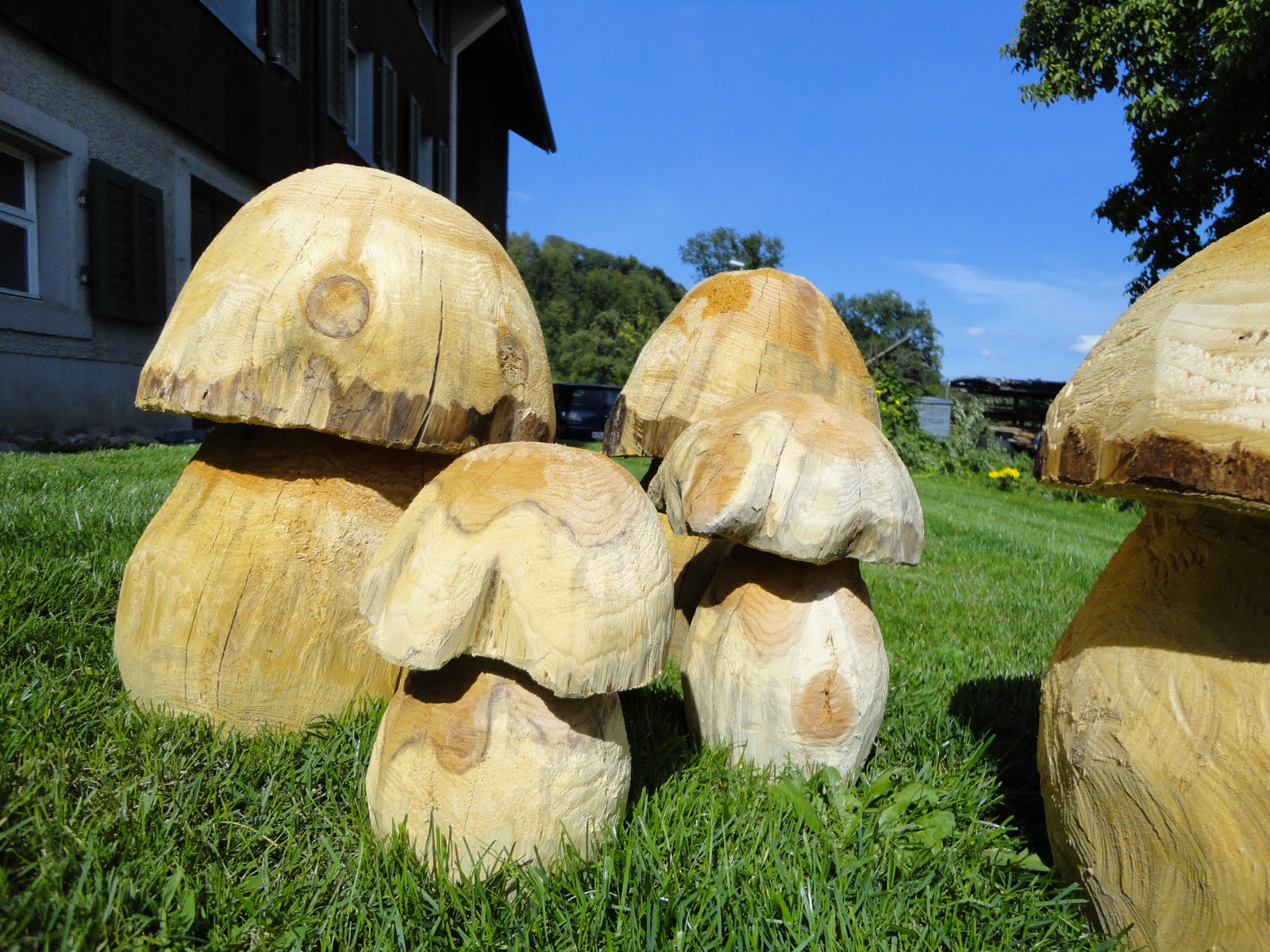 Ferienhof Blasenberg PiLzE pILzE PILzE piLzE