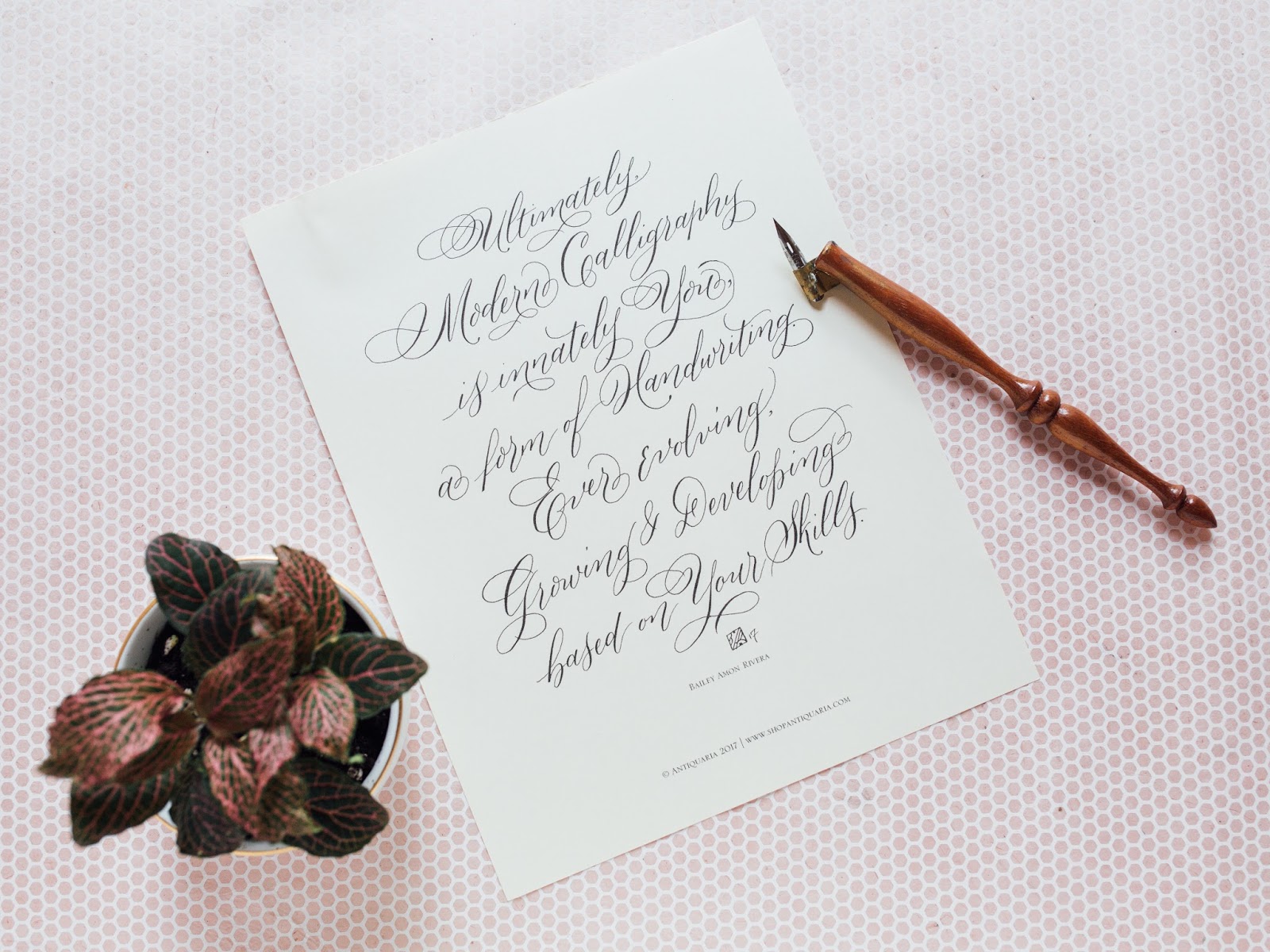 Antiquaria: The Best Online Calligraphy Class, like ever.
