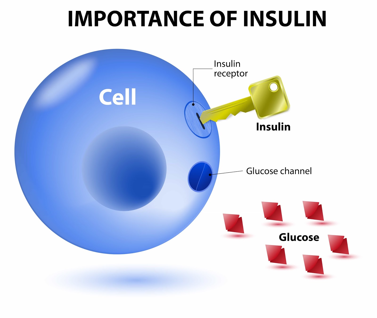 Interesting Green Insulin index