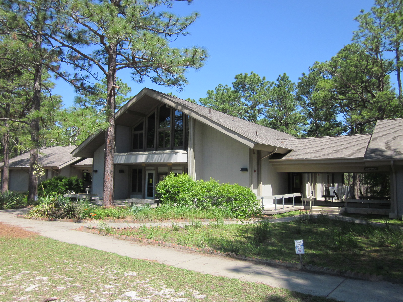 Travel NC With Kids: Weymouth Woods Sandhills Nature Preserve - Home of ...