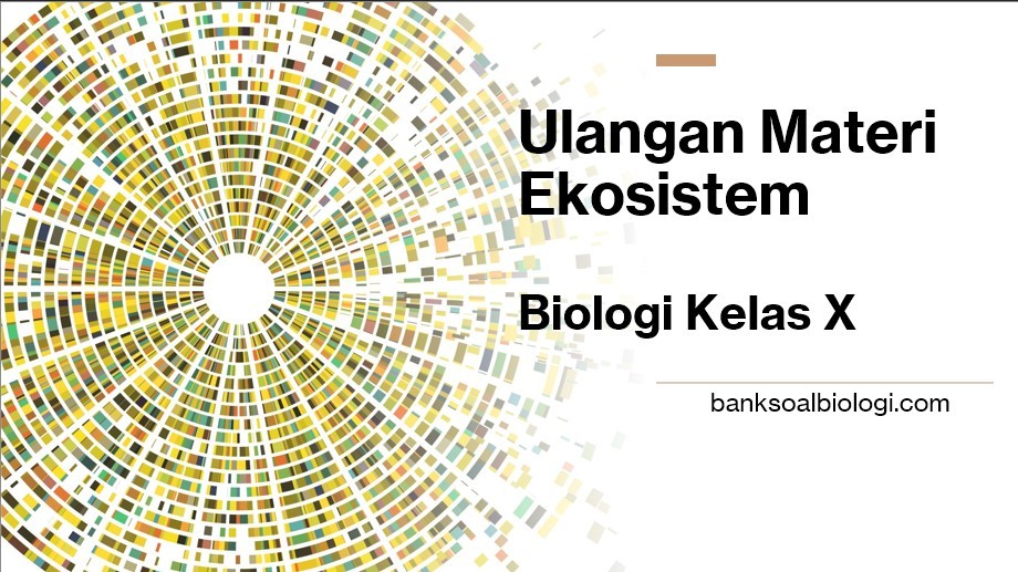 Soal Ulangan Materi Ekosistem | Biologi Kelas X - BSB