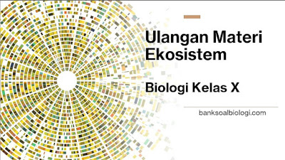27+ Contoh Soal Utsmid Biologi Kelas X 21 Gallery