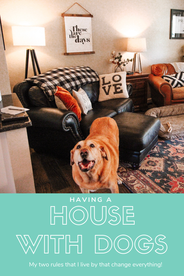 A House With Dogs 1 Year of Home Ownership Treat Dreams...are made of this