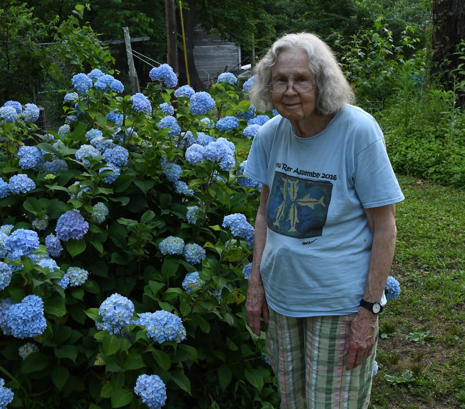 This Week In Animal Crossing Nature Day Event Continues New Fish