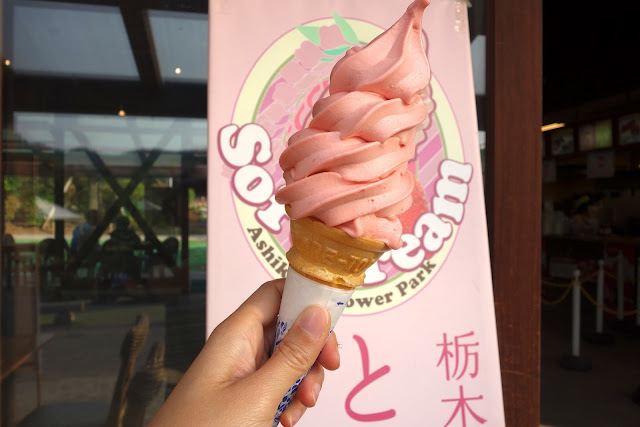 Tochigi strawberry soft cream