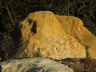 Photos of Old San Luis Obispo County Rocks to Celebrate Old Rock Day