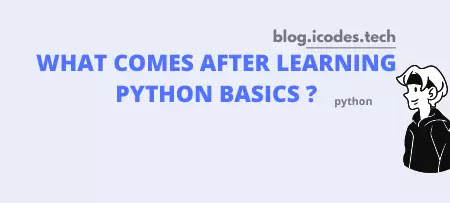 What comes after learning Python basics