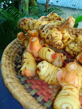 Galangal