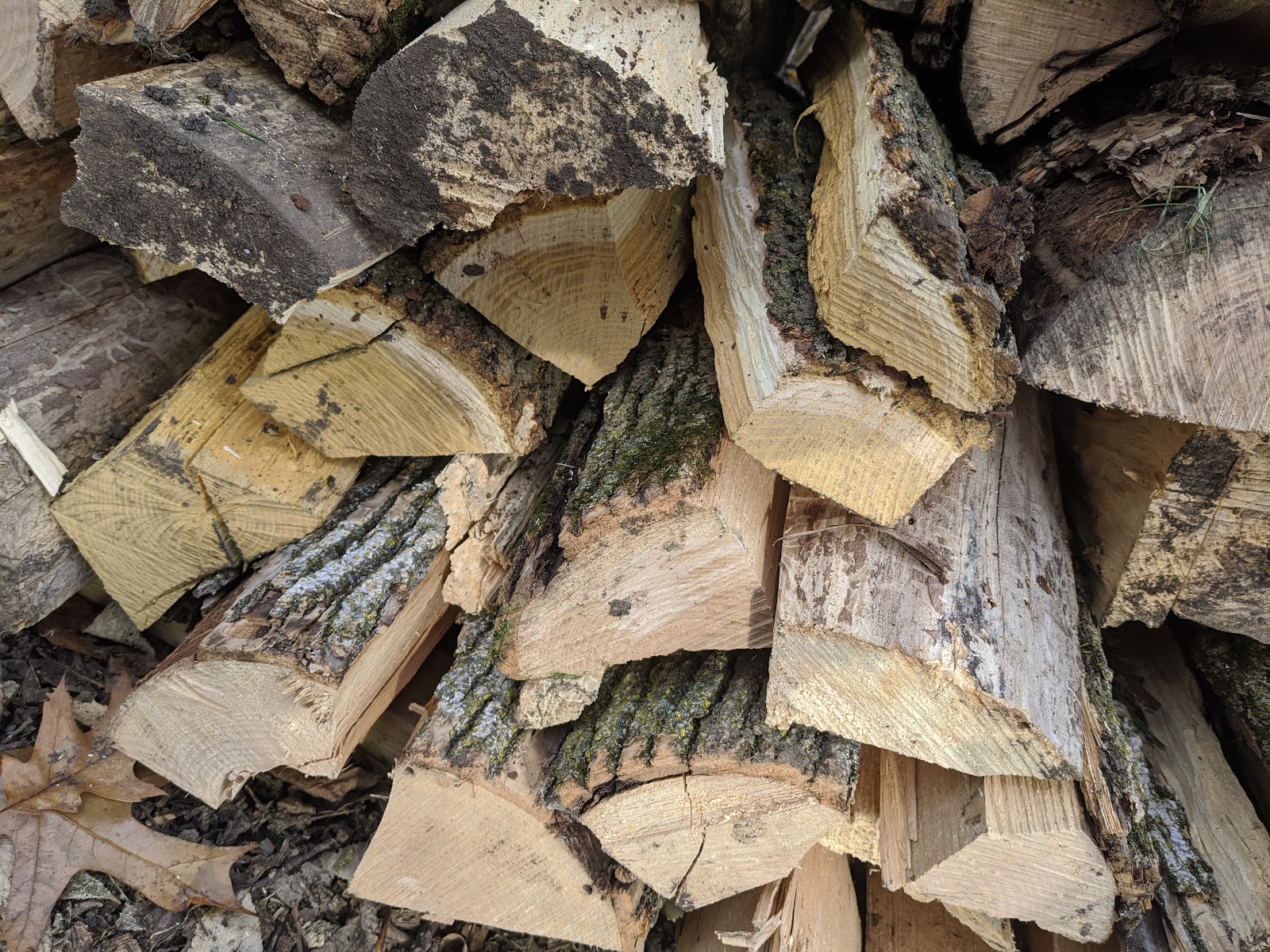Ash Firewood Rounds Update Processing Started 2019