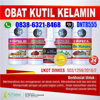 Obat Kutil Kelamin