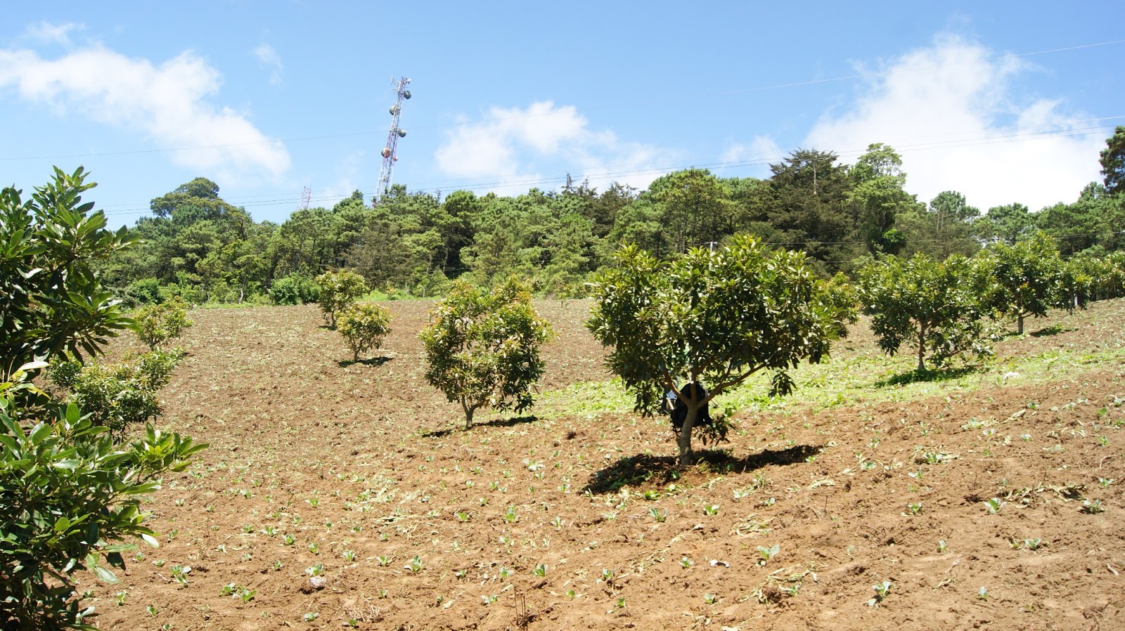 Venta de Terrenos en Miramundo Chalatenango El Salvador