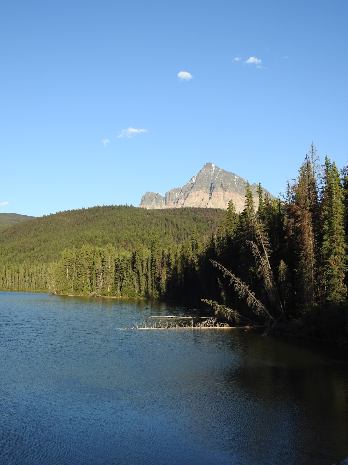 The view from here Yellowhead Lake
