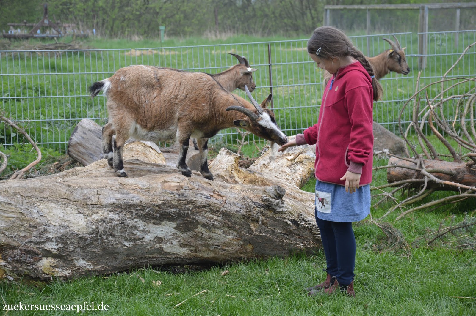Unterwegs Mit Kind Und Kegel Urlaub Auf Fehmarn Filine Bloggt
