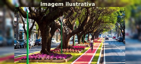 Plano de arborização da cidade de Patos, projeto importante para melhor qualidade de vida