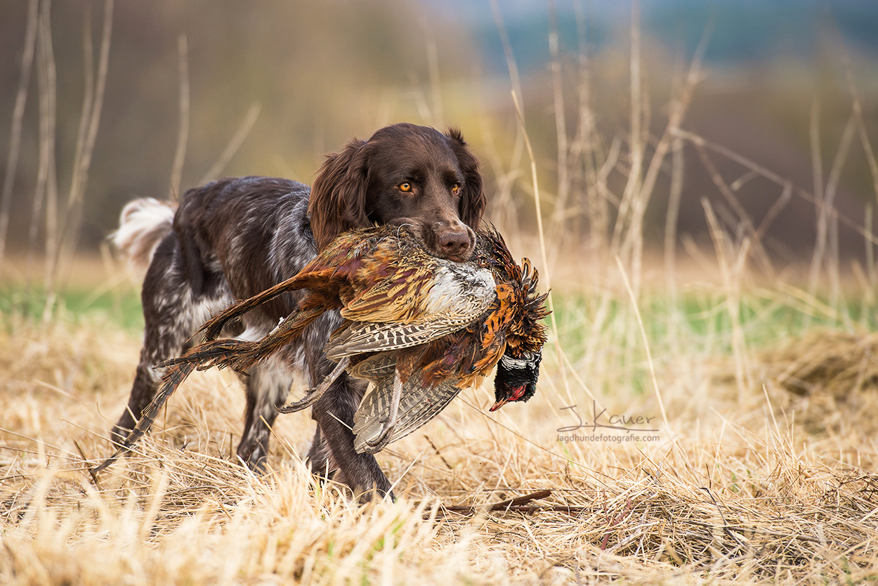 Wie man entspannter durch den Alltag kommt Wie man entspannter durch den Alltag kommt