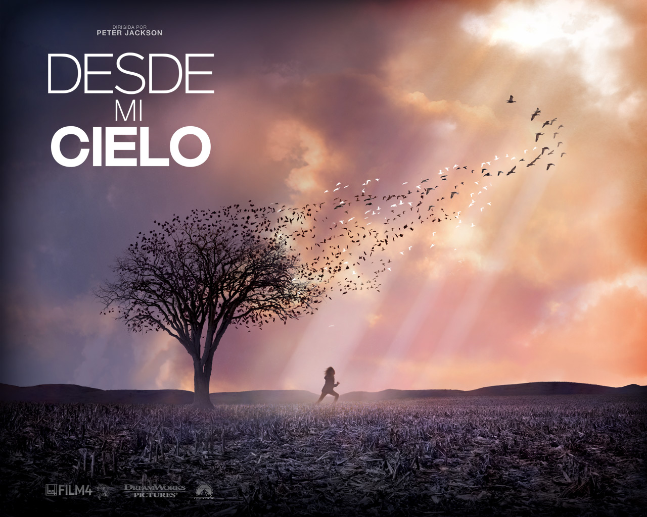 Arte Visual (CINE): Desde Mi Cielo