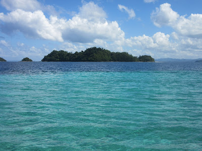 Isla cerca de Port Barton