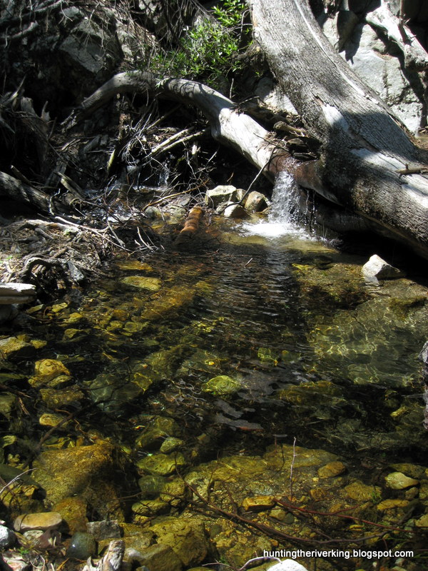 San Bernardino National Forest Rainbow Trout Creek Fishing Hunting