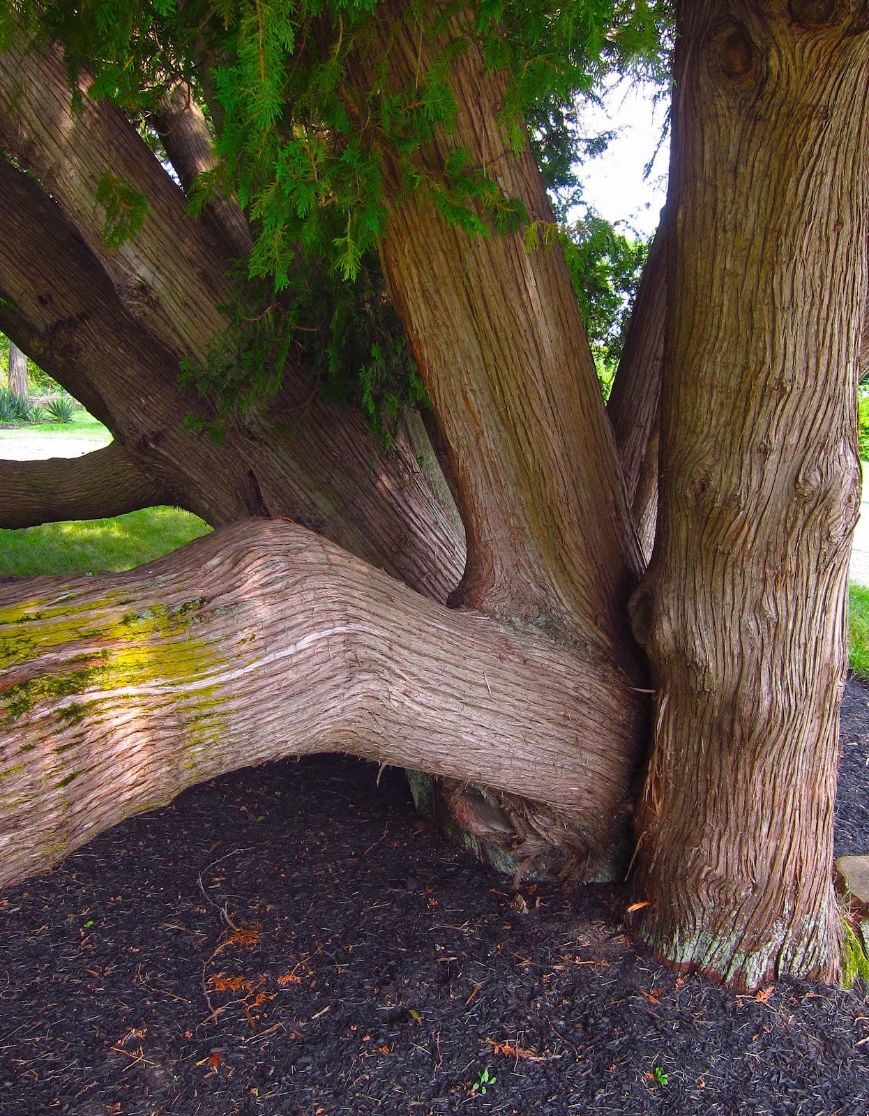 PSYCHOSCAPES: August 2012