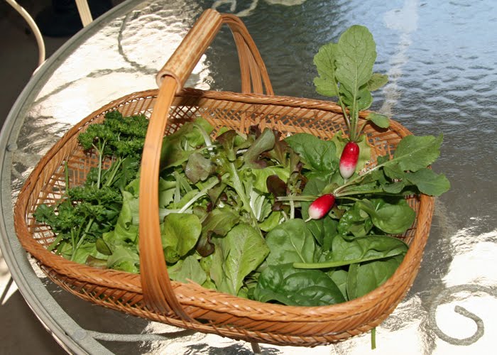 your apples are my oranges: toMAYto