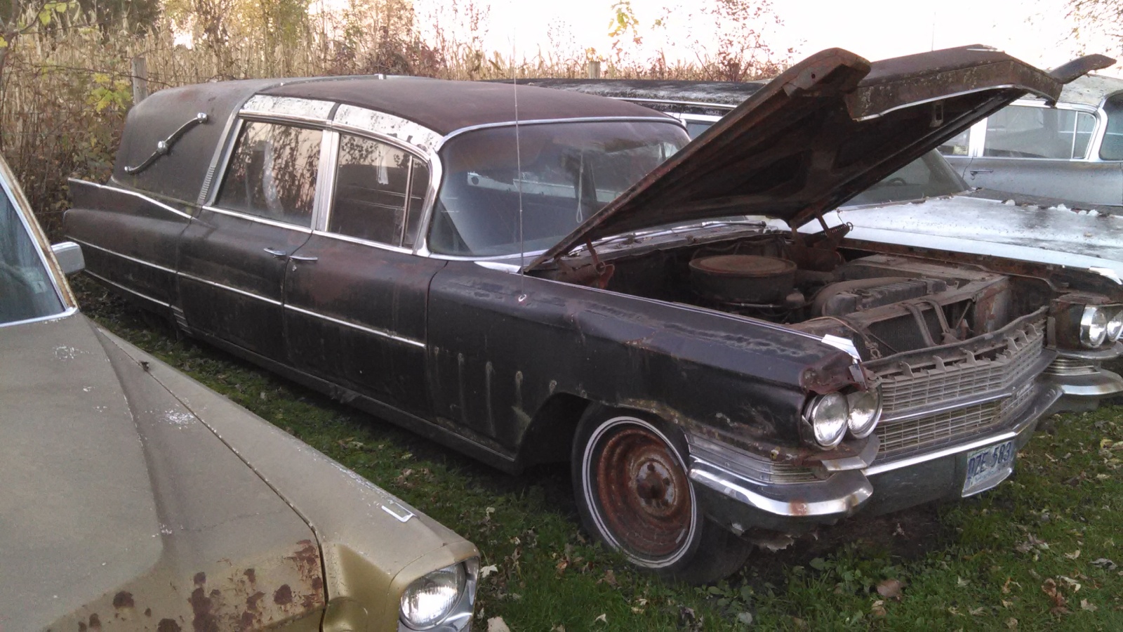 Alberto Miniaturas 1/64 Matchbox Custom Cadillac Hearse 1963 1/64