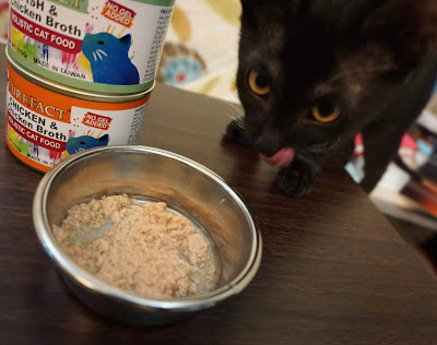 PURRFACT 波菲特貓用主食罐推薦 試用