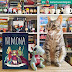 Nimona metamorfa villana y divertida