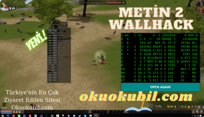 Metin2 Mod 7x Damage, Wallhack Mobber Hileli İndir 2021