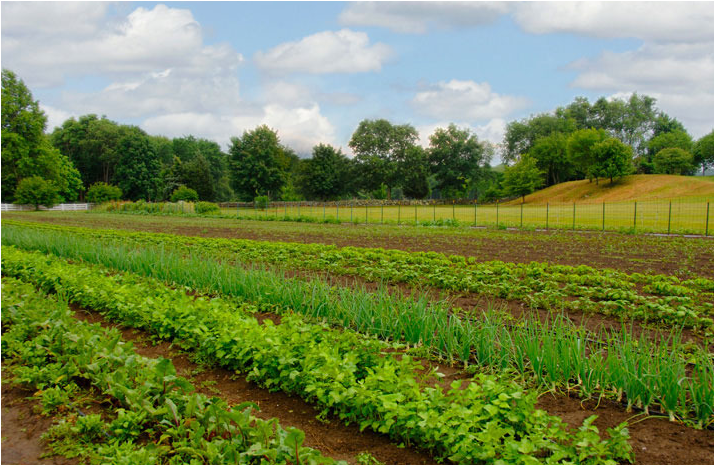 Rhode Island? -- Yes, Rhode Island Offering Small Business ...