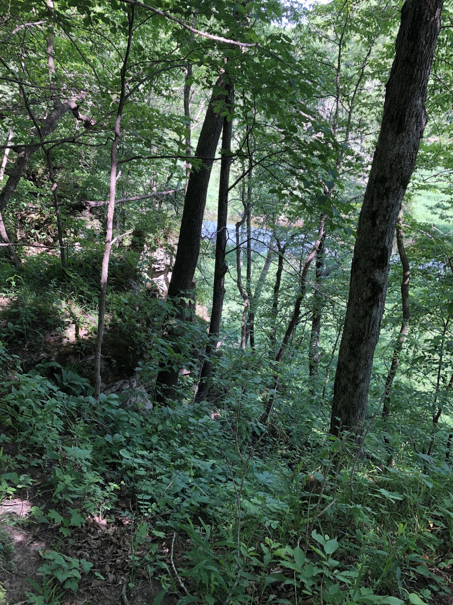 Chris & Deb Travels Backbone State Park Dundee, IA