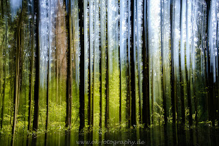 Naturfotografie Doppelbelichtung Mehrfachbelichtung Fotokunst Wischtechnik