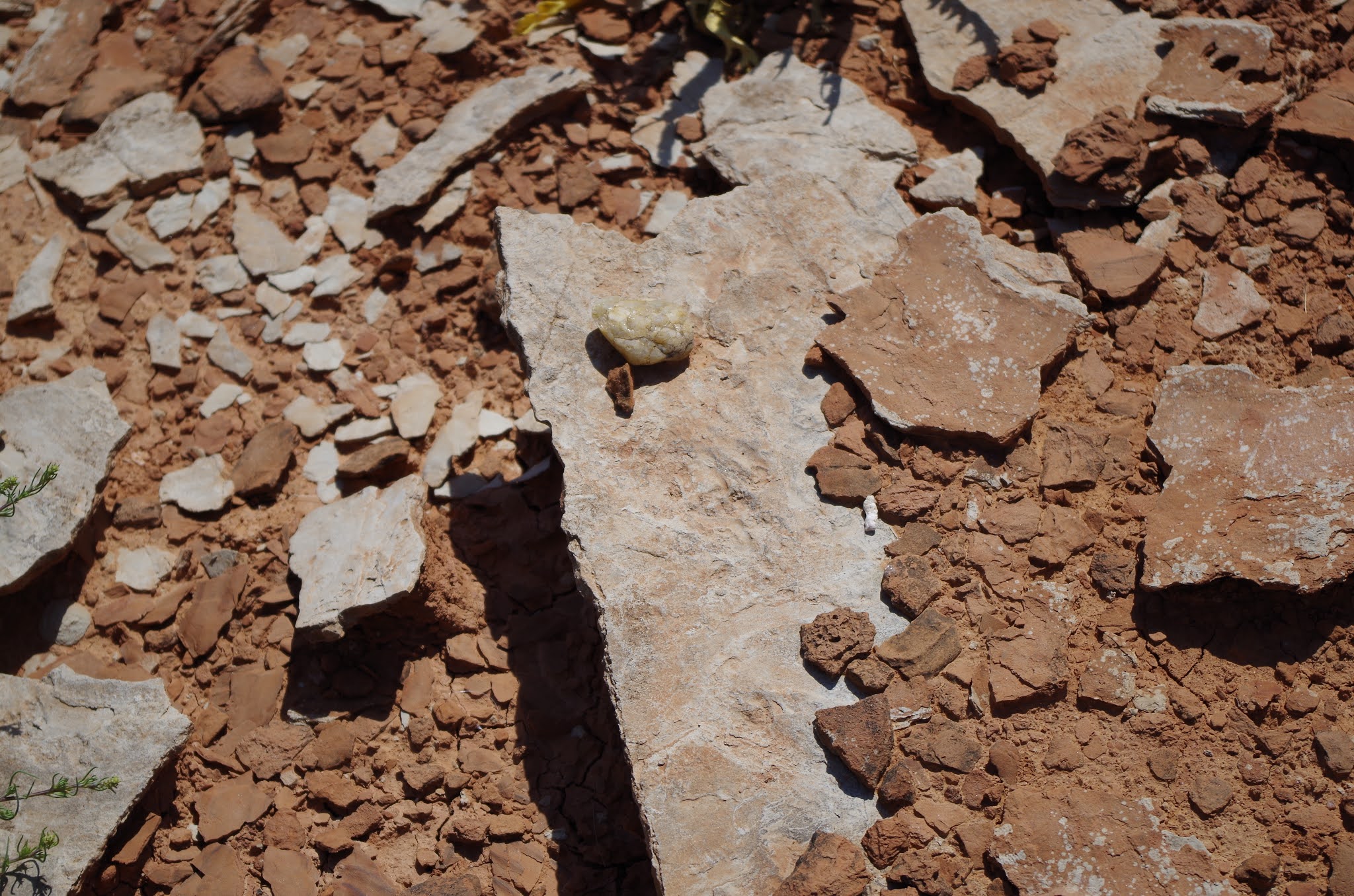 geosciblog Oklahoma Rocks Part 1