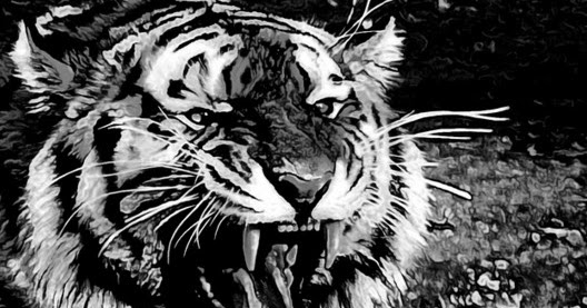 Cara Mendapatkan Khodam Macan Putih Prabu Siliwangi Tanpa