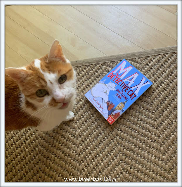 Feline Fiction on Fridays #134 ©BionicBasil® Max the Detective Cat The Disappearing Diva