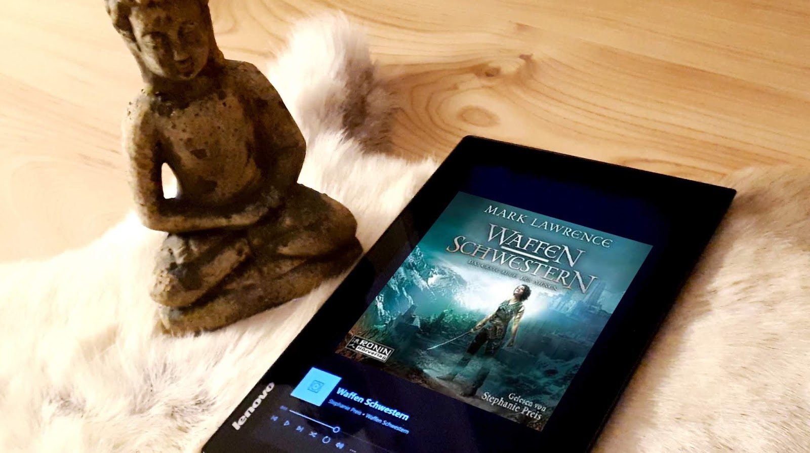 Bucher In Meiner Hand Januar 2020