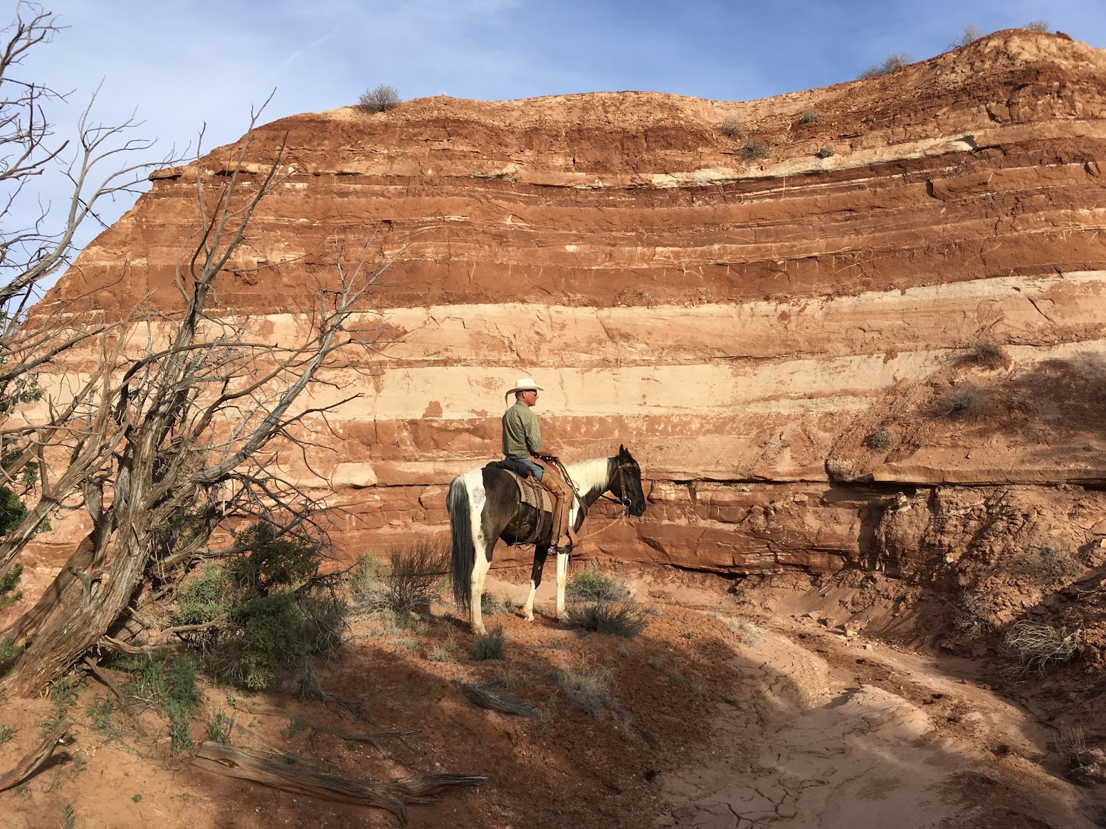 Camping and Horses : PARIA RIVER RANCH SOUTHERN UTAH