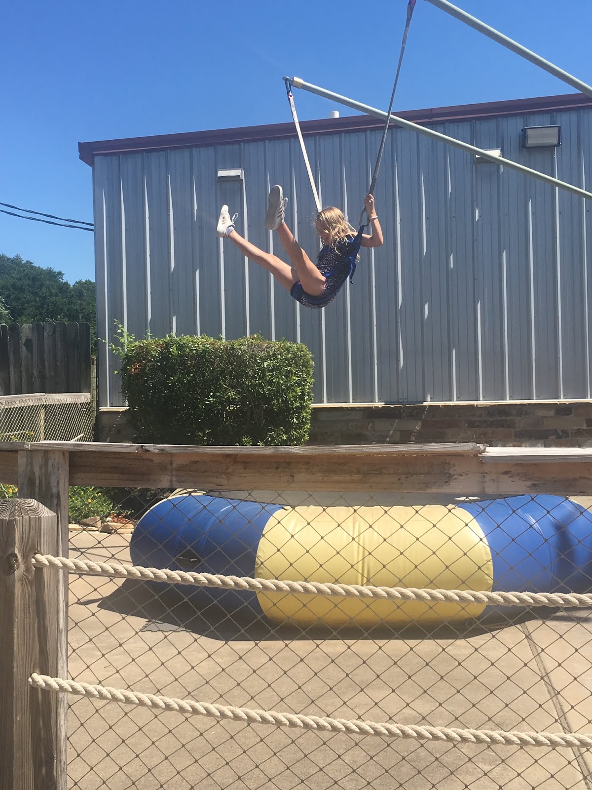 Chasing Roots Horseshoe Junction