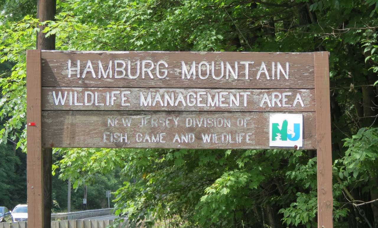 Endangered New Jersey Hamburg Mountain WMA Guided Hike
