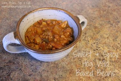 Tailgate Time! 20+ Favorite Recipes - Sweet & Spicy Hog Wild Baked Beans