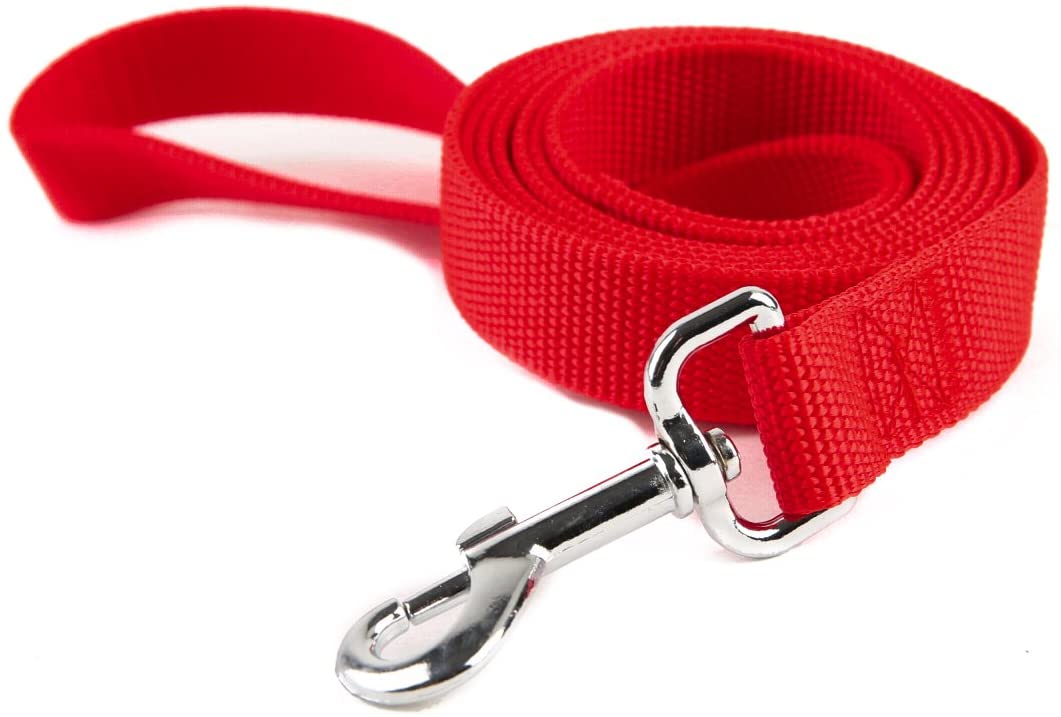 7 Best Dog Leashes in 2020 Doglopedix