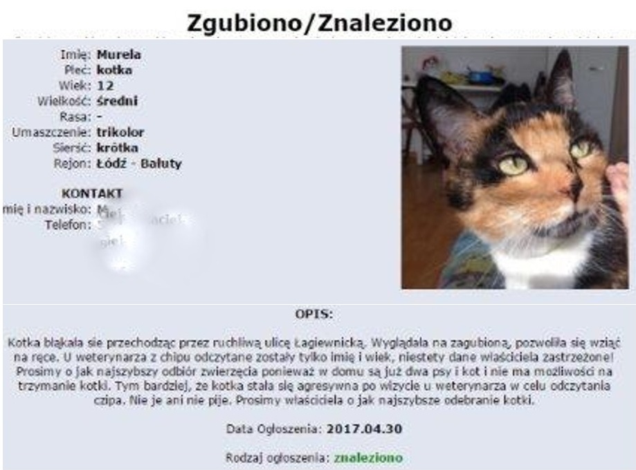 Jak Napisac Ogloszenie O Zaginieciu Kota I kto tu mruczy?: Lili Murela - trochę gorzko