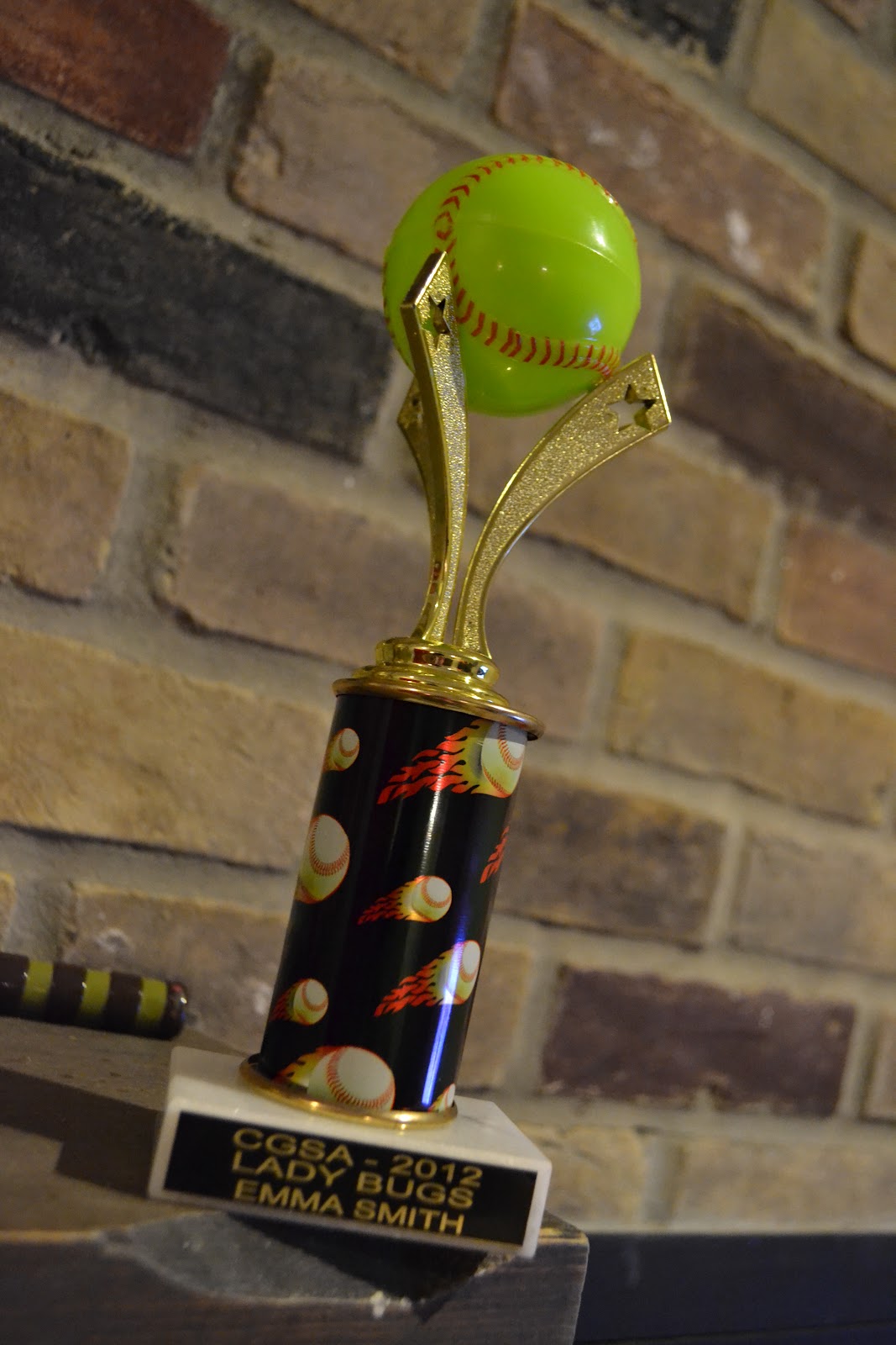SMITH STORIES: Ladybug Trophy