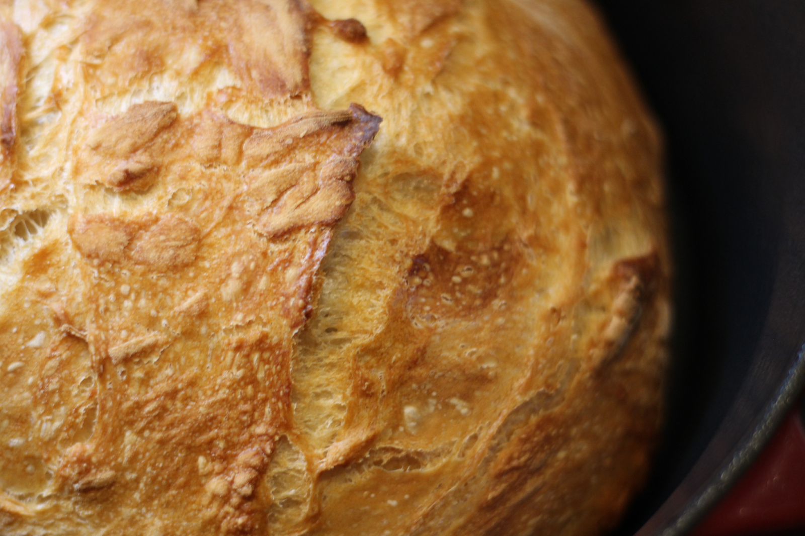 Rustic Dutch Oven Bread Baked on the Grill - 1840 Farm