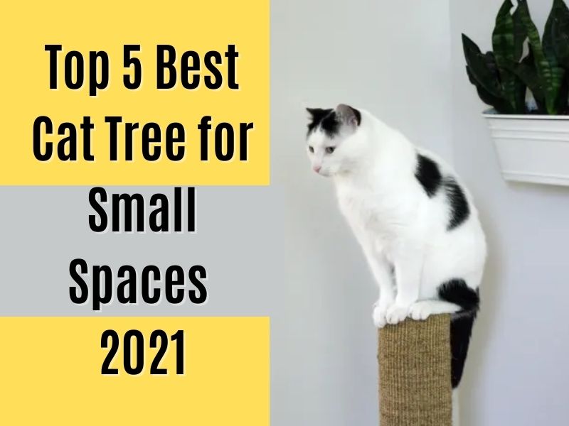 cat condo for small spaces