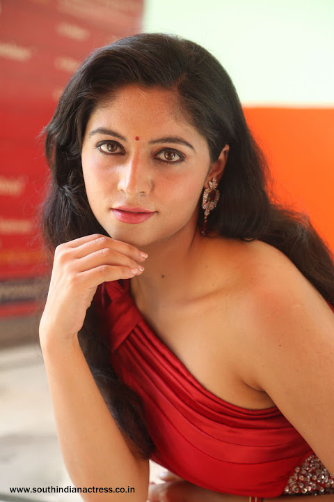 Zahida Sam photoshoot at Badragiri Movie Launch