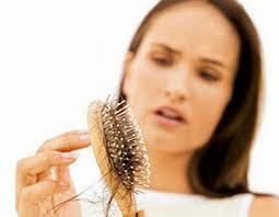  Rambut merupakan mahkota dari badan kita alasannya ialah itulah rambut ini sangat berperan penting Cara Alami Merawat Rambut Rontok
