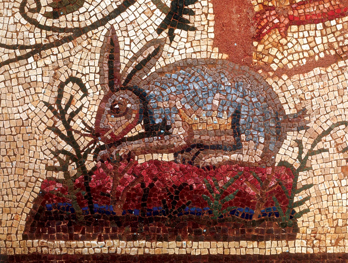Christopher Moore's History News Ancient ecological history rabbits